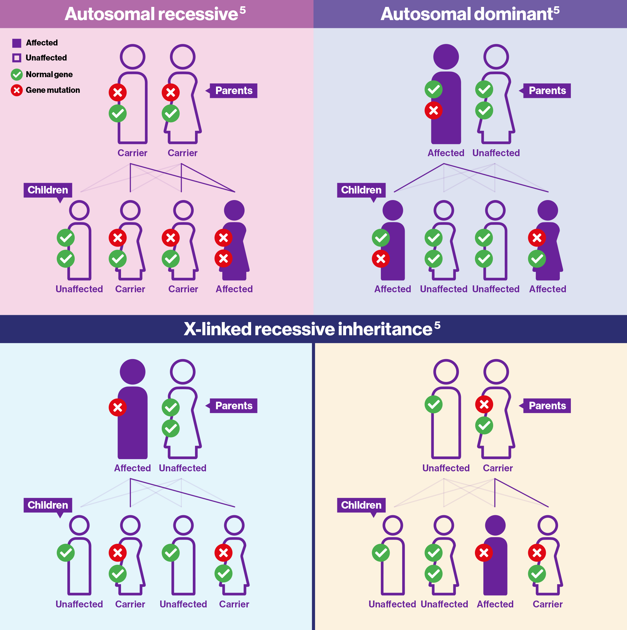 A diagram showing how autosomal recessive mutations are inherited. Two parents are carriers of the mutation, each with one affected gene have four children: one has no mutated gene, two are carriers and have one copy of the mutation, and one has two copies of the mutation and is affected by the disease.