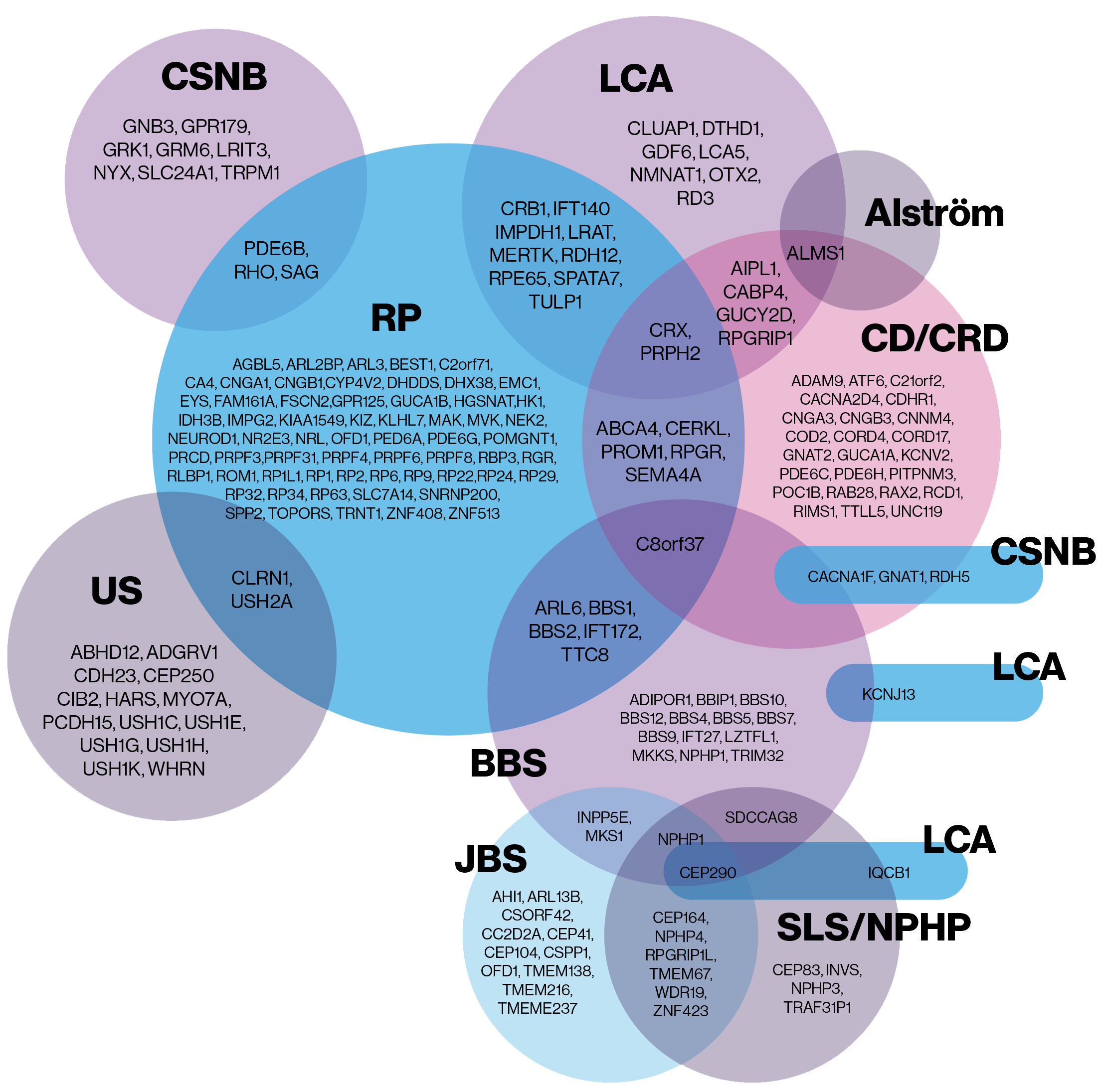 bubble-graphic-popup