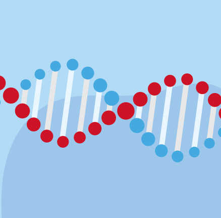 A cartoon image of a DNA strand