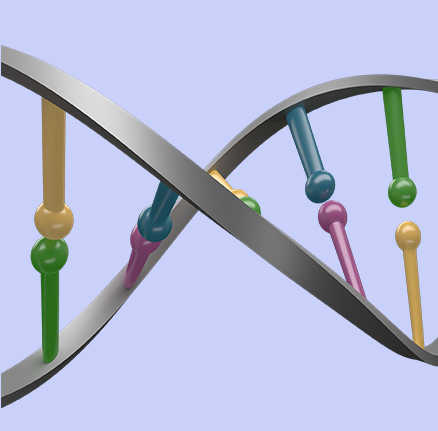 Image of a section of a DNA strand