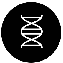 dna