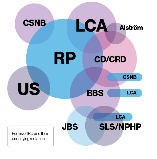 Diagram showing the different types of inherited retinal dystrophy, the gene mutations that cause them and the overlap between different IRDs